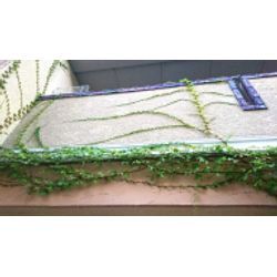 知り合いのお宅の庭仕事の画像3