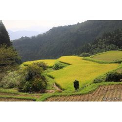 浜松市のふたつの棚田の画像1