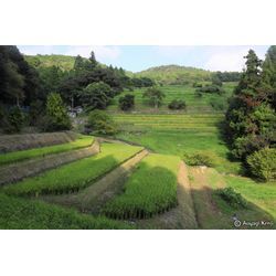 浜松市のふたつの棚田の画像2