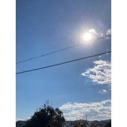 仕事日和の画像1