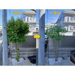 初のリピート依頼を頂きました。の画像1