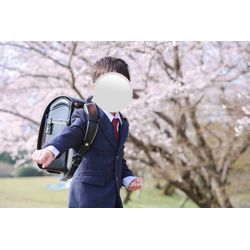 桜の撮影についての画像3