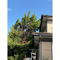 宇土市　N様宅の画像1