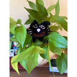 サンタさん！？の画像1