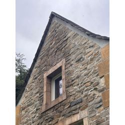 キイロスズメバチ　阿蘇市の画像3