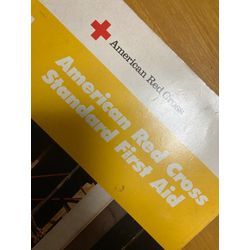 今年初めての通訳の画像1