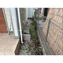 除草作業をさせて頂きました！の画像3