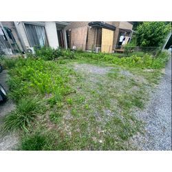 除草作業をさせて頂きました！の画像1