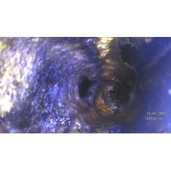 インディージョーンズの画像1