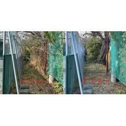 ボランティアの画像1