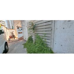 小さくとも良い感じ✨の画像1