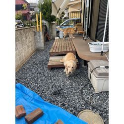 埼玉県　川越市　庭の防草シート敷き作業の画像3