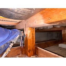 シロアリ駆除　湿気対策の画像2