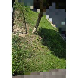 芝生/草抜き作業　敷地一式の画像1