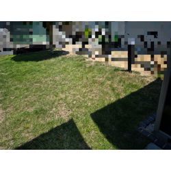 芝生/草抜き作業　敷地一式の画像2