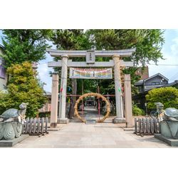 亀有香取神社にてお宮参りの撮影で伺いました📸✨の画像1