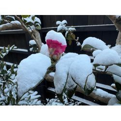 雪景色の画像1