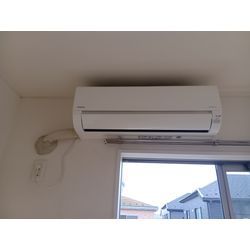 壁紙クロスカビ除去クリーニングの画像1