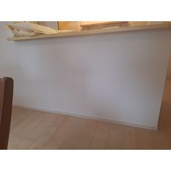 部屋に出るカビの画像3