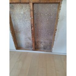 部屋に出るカビの画像2