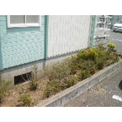 アパートの植栽植込み（管理）の下見です。の画像1