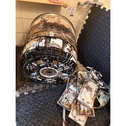 4月、洗濯機の裏側が冬眠から目覚めました。の画像1