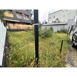 除草作業をさせて頂きました！の画像1