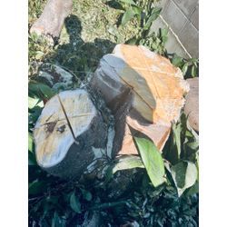 堺市　特殊伐採の画像2