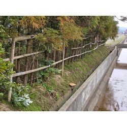 水路沿いの草木の整備の画像2