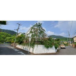 茹だる暑さに💦の画像2