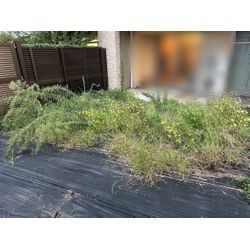草刈り·草刈りの画像1