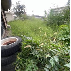 埼玉ふじみ野市　お庭の草刈りの画像1