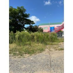 PR　駐車場草刈り2の画像1