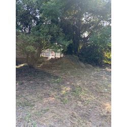 PR　駐車場草刈り2の画像3