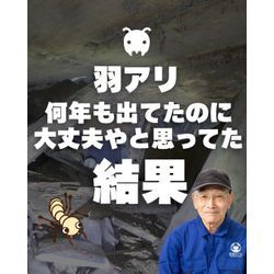 【羽アリ、何年も出てたのに大丈夫やと思ってた結果】の画像1