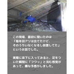 【羽アリ、何年も出てたのに大丈夫やと思ってた結果】の画像2