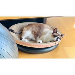 ☆開業180日目☆の画像2