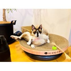 ☆開業180日目☆の画像3