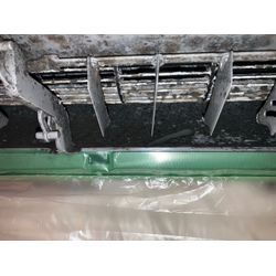 カビの種類の画像1