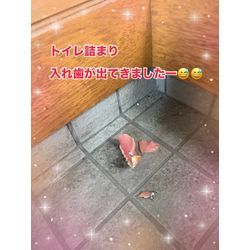 トイレ詰まりの画像1