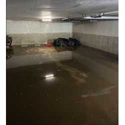 大雨、大丈夫でしたか？の画像2