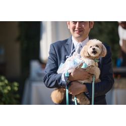 リングドッグ大成功　感動の挙式の画像1