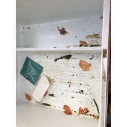 大掃除はお早めに！の画像1