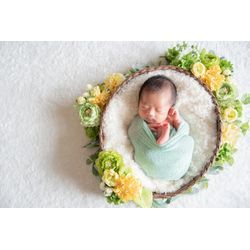 【黄色系】ニューボーンフォトお花のお色目見本の画像3