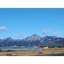 今日も高崎の里山で伐採・強剪定〜やっぱり雪は寒い〜　群馬高崎の植木屋ゆうさんShortBlogの画像1