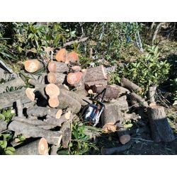 今日も高崎の里山で伐採・強剪定〜やっぱり雪は寒い〜　群馬高崎の植木屋ゆうさんShortBlogの画像2