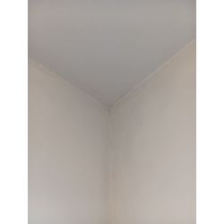 マンションやUR団地の壁紙クロスのカビ除去の画像3