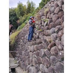 物価高は困る！〜群馬高崎の植木屋ゆうさんブログ〜の画像2