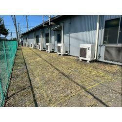 工場内の除草作業をさせて頂きました！の画像2