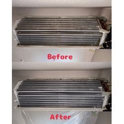 久しぶりのクリーニングでした😊の画像1